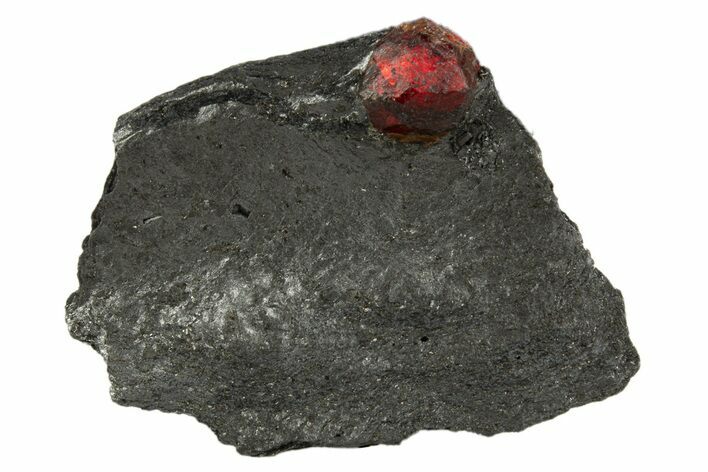 Red Embers Garnet in Graphite - Massachusetts #313441